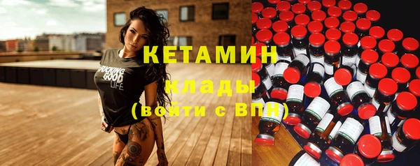 стаф Аркадак