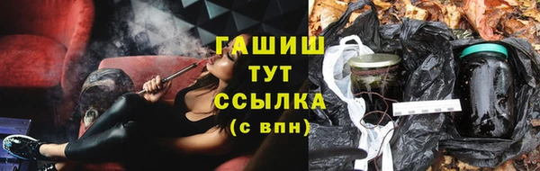 стаф Дмитровск