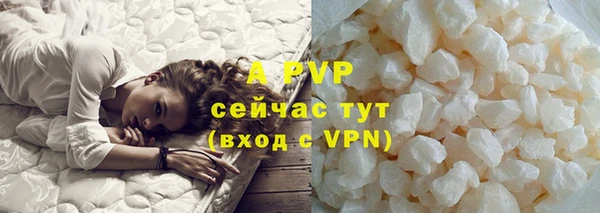 стаф Аркадак