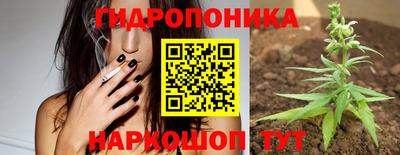 гашик Шебекино