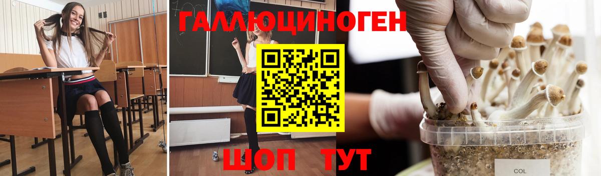 Псилоцибиновые грибы ЛСД  Псилоцибиновые грибы мицелий  Вход с VPN  Арзамас 